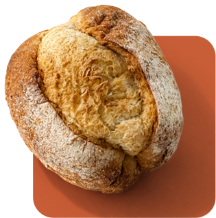 Pan Masa Madre<br>Blanco